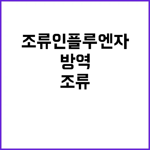 조류인플루엔자 방역 이젠 모두의 관심!