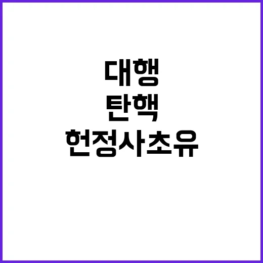 탄핵… 최상목의 헌…