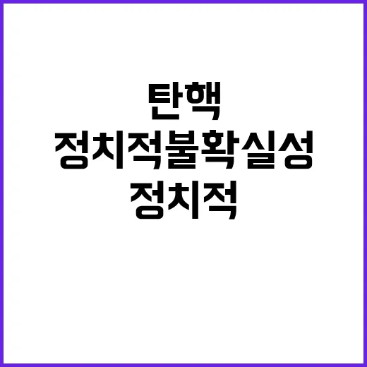 “탄핵 정치적 불확실성 경제적 고통의 시작인가?”