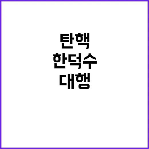 탄핵 한덕수의 대행…