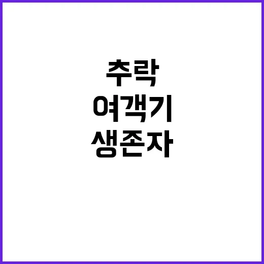 여객기 추락 생존자…