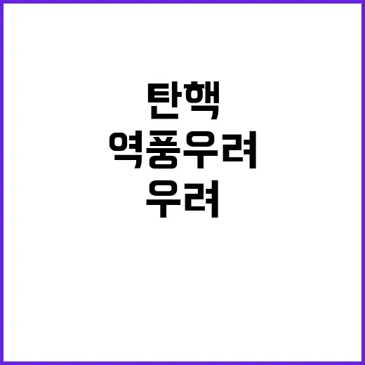 연쇄 탄핵 여당의 …