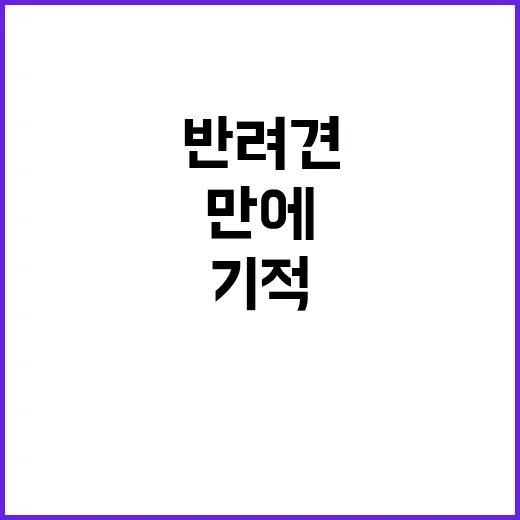 기적…실종 반려견 9일 만에 돌아왔다!