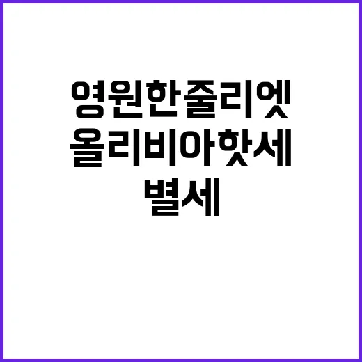 ‘영원한 줄리엣’ …