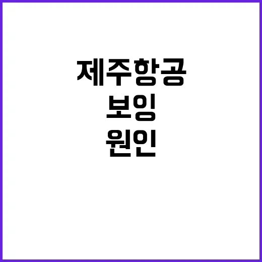 보잉 737800 …