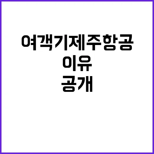 737800 여객기 제주항공 참사 충격 이유 공개!