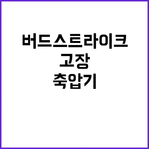 버드스트라이크 엔진…