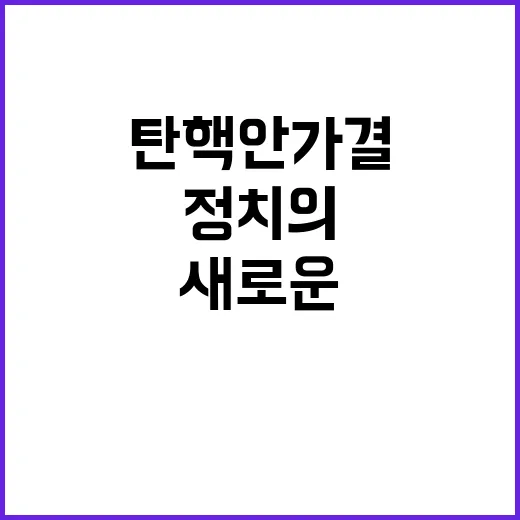 탄핵안 가결 새로운 정치의 시작은?