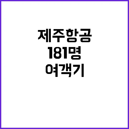 충돌 사고 제주항공 여객기 화재로 181명 위험!