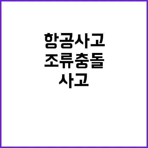 항공 사고 조류 충…