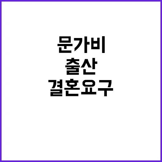 비혼 출산 문가비의 진실 공개! 결혼 요구 없었다.