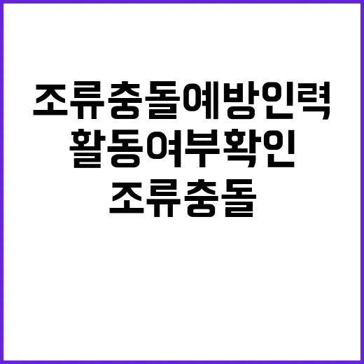 조류 충돌 예방 인…