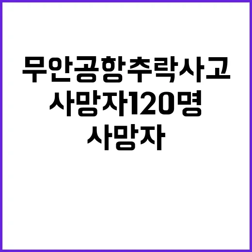 무안공항 추락사고 사망자 120명 증가 소식!