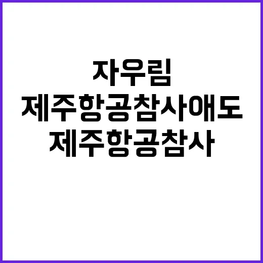 자우림 제주항공 참…