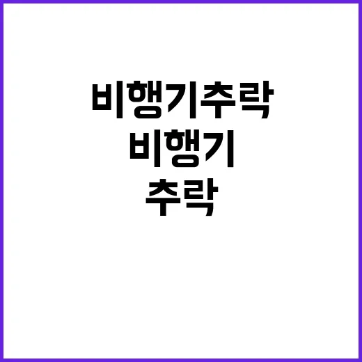 비행기 추락 관리자…