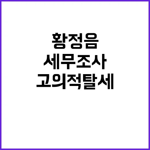 ‘고의적 탈세’ 황…