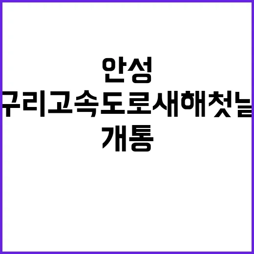 안성구리 고속도로 새해 첫날 72.2㎞ 개통!