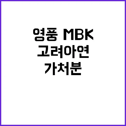 영풍·MBK 이사 …