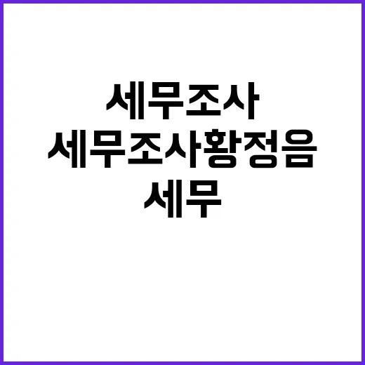 세무조사 황정음 “…