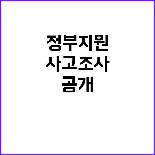 정부지원 사고조사 …