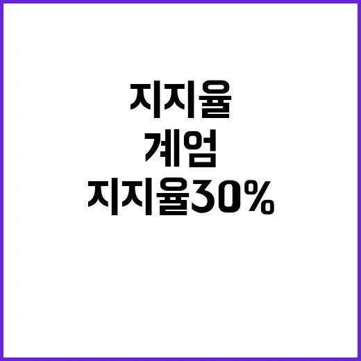 계엄 지지율 30%…