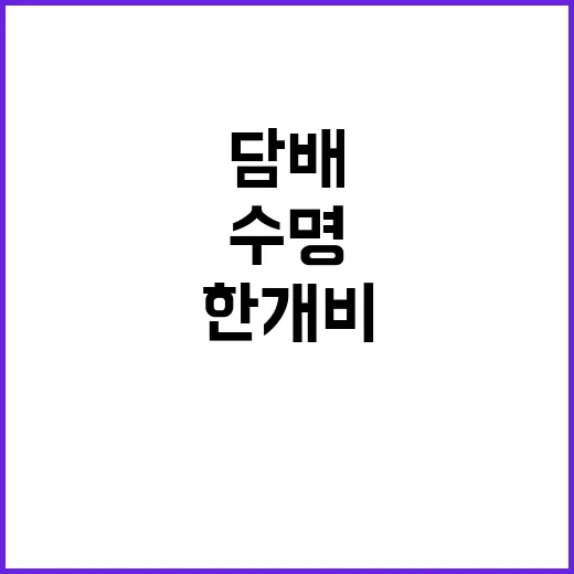 담배 수명 하루 한 개비 20분 단축!