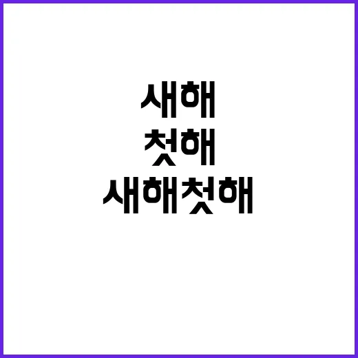 새해 첫 해 낮은 구름 뒤 감춰진 비밀!