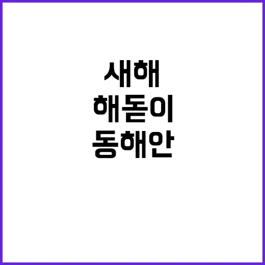 새해 날씨 변화 동해안 해돋이 선명!