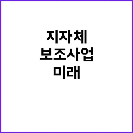 보조사업 지자체 지원과 자율성 확대의 미래!