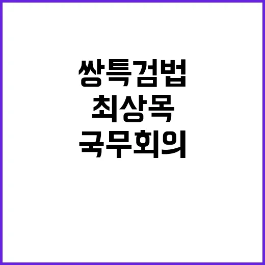 최상목 쌍특검법 거…