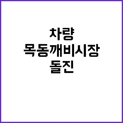 차량 돌진 사고… …