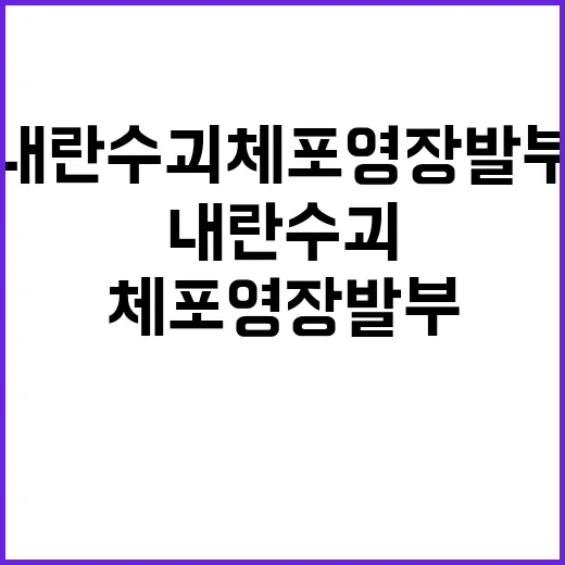 내란 수괴 체포 영…