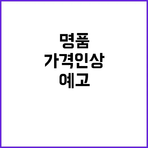 명품 가격 인상 에르메스 10% 상승 예고!