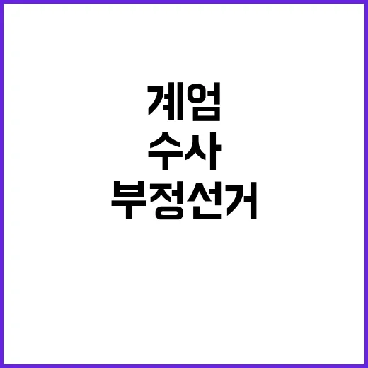 부정선거 정황 계엄…