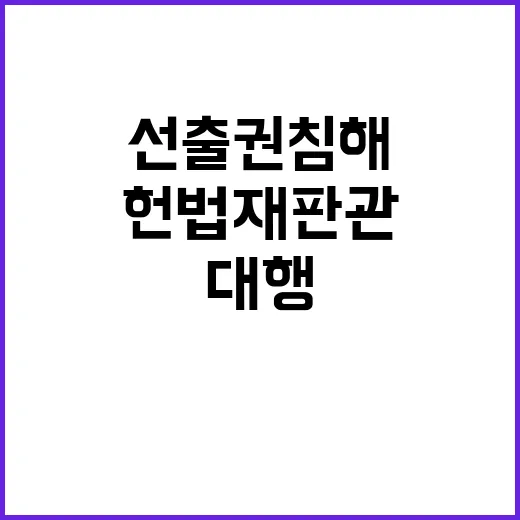 최 대행 판단 헌법재판관 선출권 침해 논란!