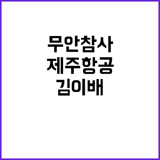 제주항공 무안참사 …