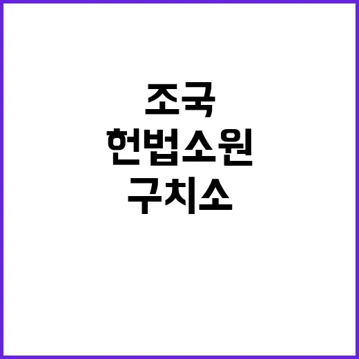 조국 구치소에서도 논란 연출! 헌법소원 제기.