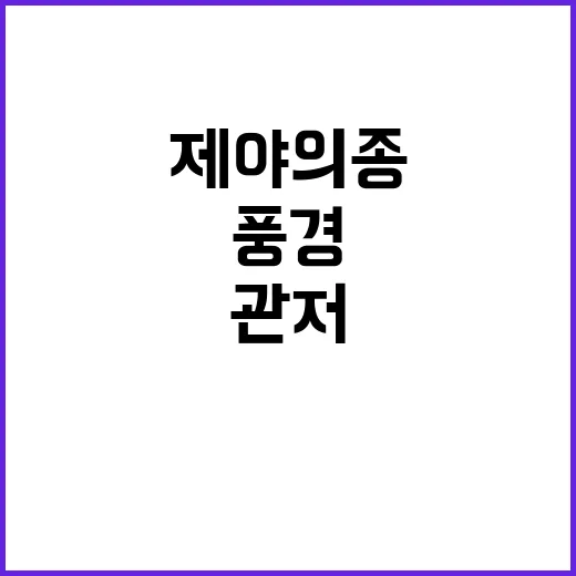 제야의 종 관저 앞…