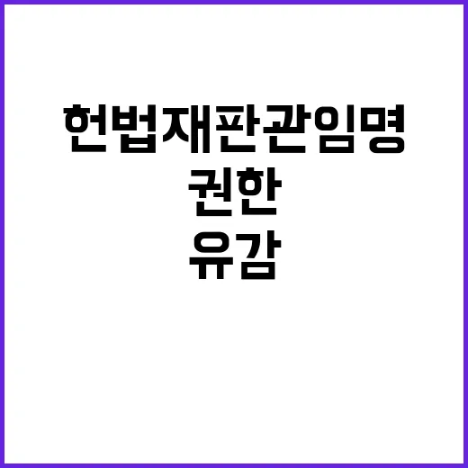 헌법재판관 임명 대…