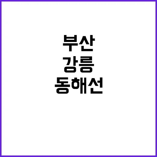 해맞이 장관…부산~강릉 동해선 낭만적 개통!