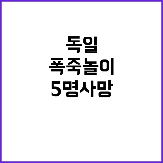 폭죽놀이 독일 전역서 최소 5명 사망 사건!