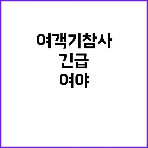 여야 여객기 참사 …