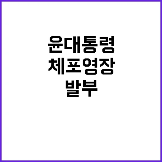 체포영장 발부 윤 대통령의 향후 절차는?