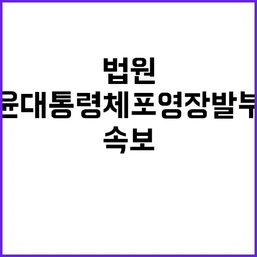 법원 윤 대통령 체포영장 발부! 충격적인 속보!