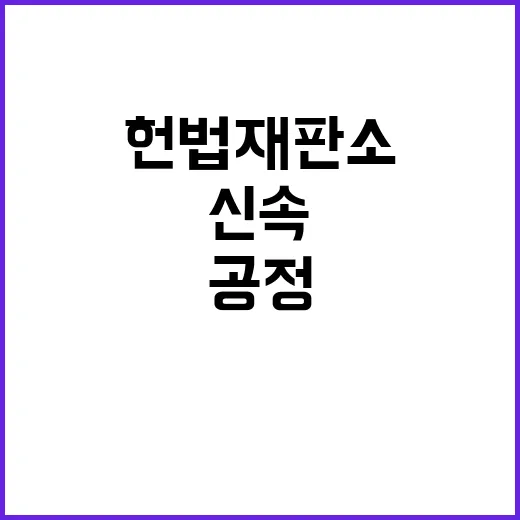 헌법재판소 공정하고 신속한 판단으로 사회 안정!