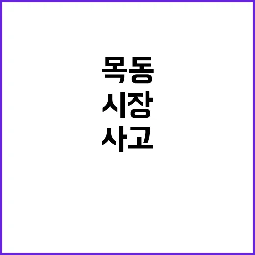 치매 진단 운전자 목동 시장 사고 진실 공개!