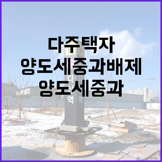 양도세 중과 배제 다주택자에게 추가 기회!