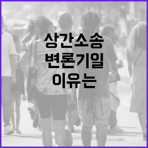 ‘상간 소송’ 변론…