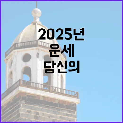 운세 2025년 당신의 미래는 밝다!