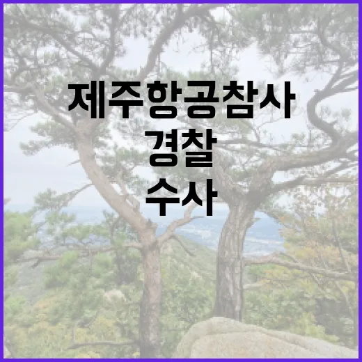 제주항공 참사 경찰…